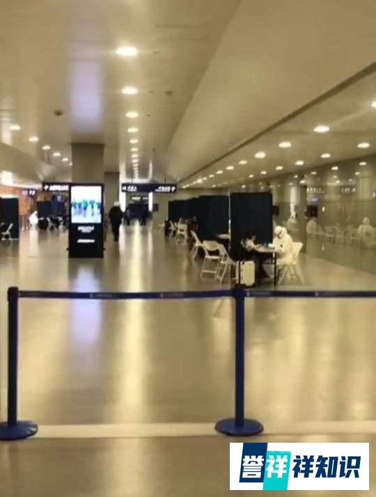 称赞！意大利留学生回国辗转28小时——“教科书式的回国”