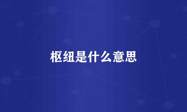 枢纽是什么意思
