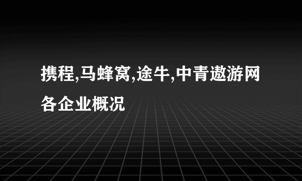 携程,马蜂窝,途牛,中青遨游网各企业概况