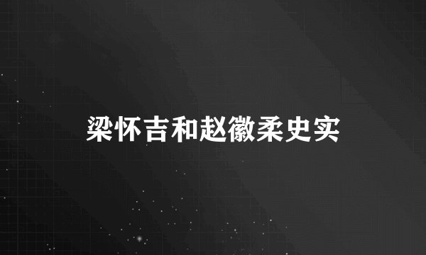 梁怀吉和赵徽柔史实