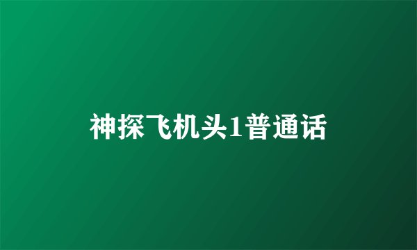 神探飞机头1普通话