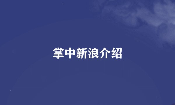掌中新浪介绍