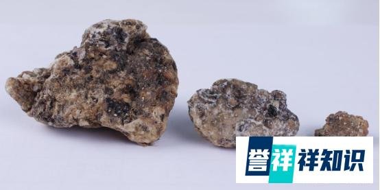 渔民捡到价值千万龙涎香 这是咋情况？