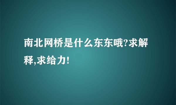 南北网桥是什么东东哦?求解释,求给力!