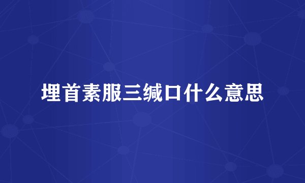 埋首素服三缄口什么意思