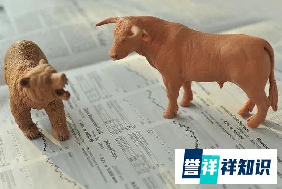 社交拼团：「上海名媛」背后的电商新旧交替