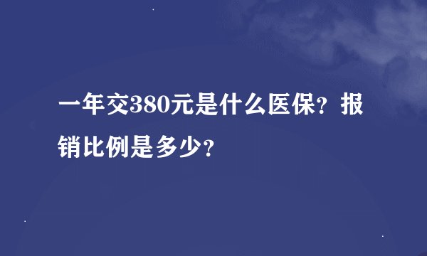 一年交380元是什么医保？报销比例是多少？