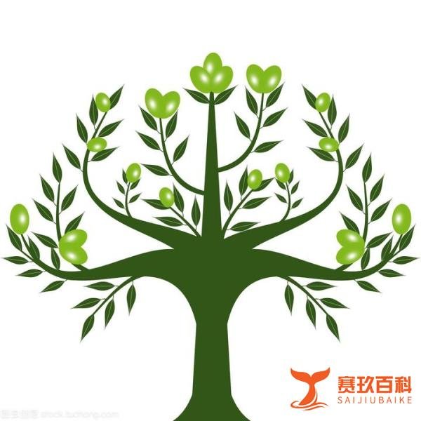 《橄榄树》 音乐里的故事74