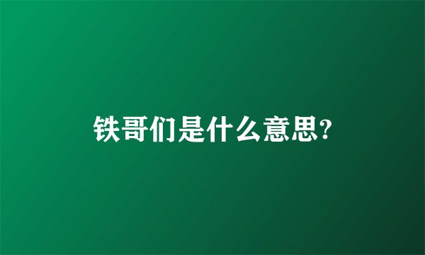 铁哥们是什么意思?