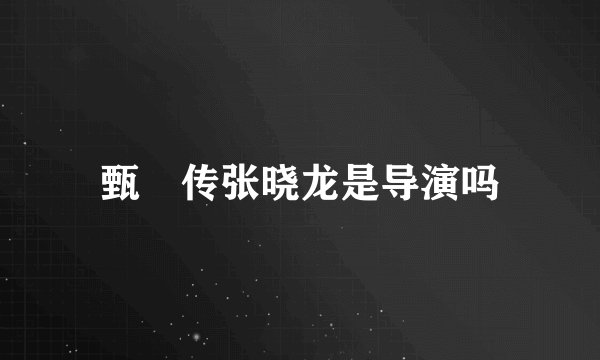 甄嬛传张晓龙是导演吗