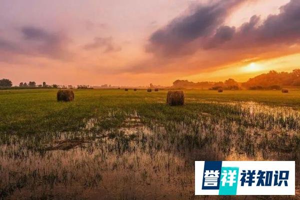 心宽一寸，病退一丈（说得真好）