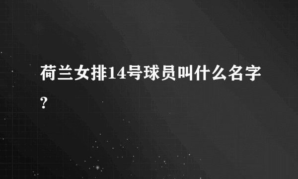 荷兰女排14号球员叫什么名字?
