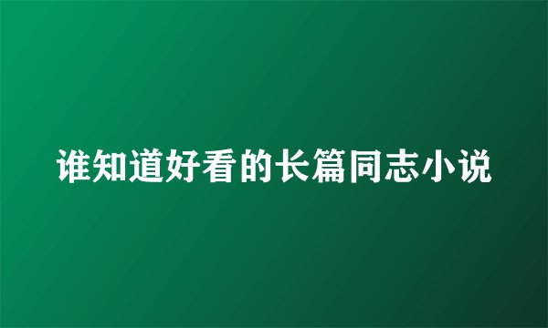 谁知道好看的长篇同志小说