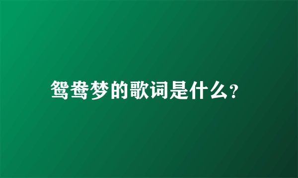 鸳鸯梦的歌词是什么？