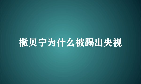 撒贝宁为什么被踢出央视