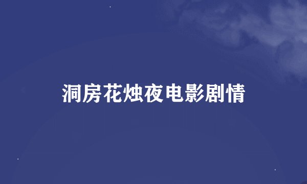 洞房花烛夜电影剧情