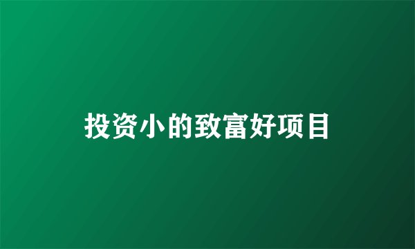 投资小的致富好项目