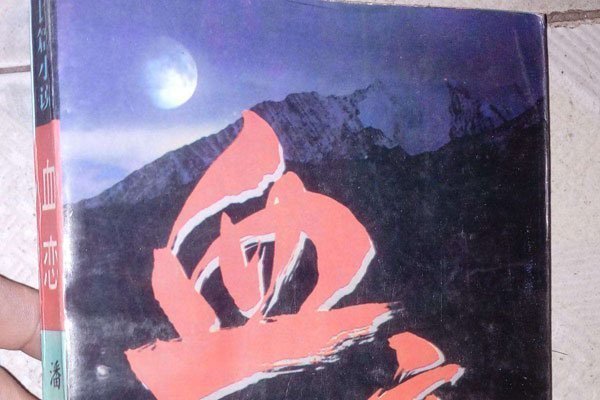 《血恋》电影讲的什么故事？