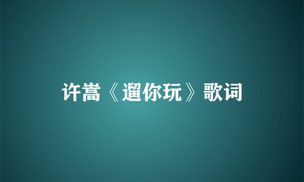 许嵩《遛你玩》歌词