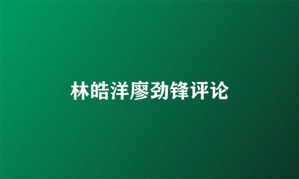 林皓洋廖劲锋评论