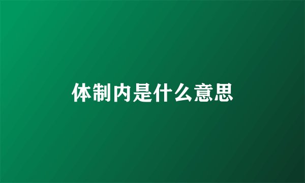 体制内是什么意思