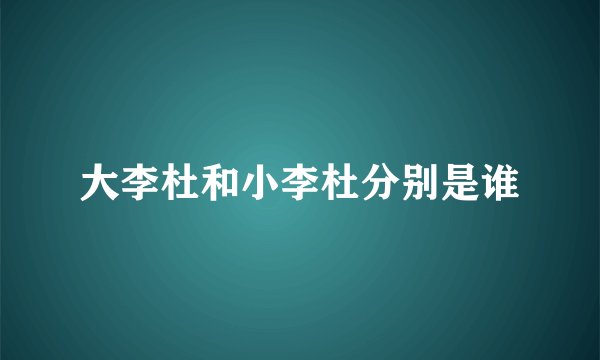 大李杜和小李杜分别是谁