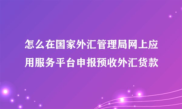 怎么在国家外汇管理局网上应用服务平台申报预收外汇货款