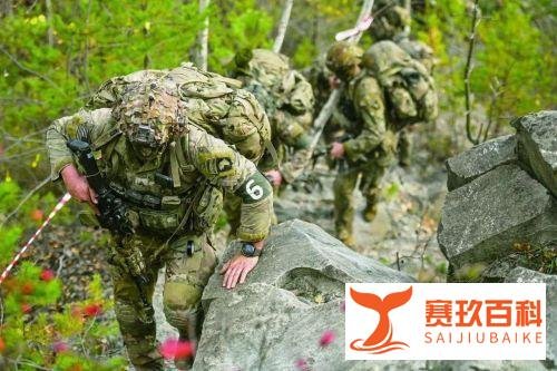 美国101空降师“已做好进入乌克兰准备”，俄罗斯网友热议