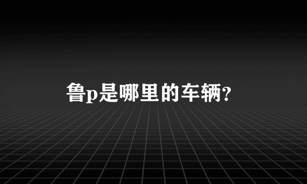 鲁p是哪里的车辆？