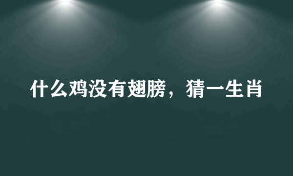 什么鸡没有翅膀，猜一生肖