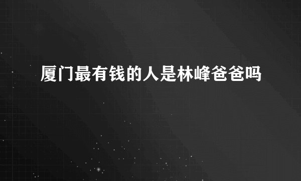 厦门最有钱的人是林峰爸爸吗