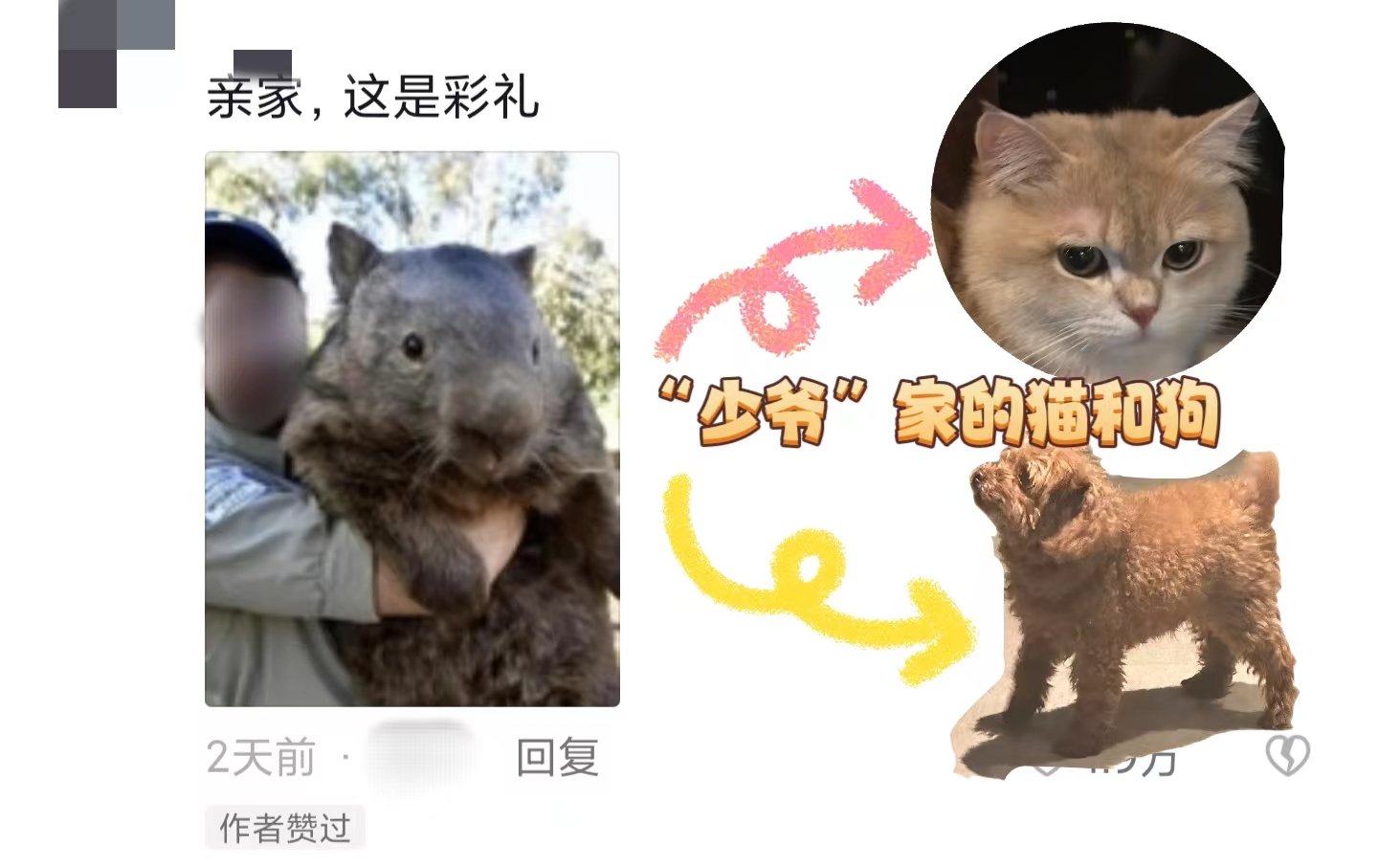 「万柳书院少爷」是什么梗？