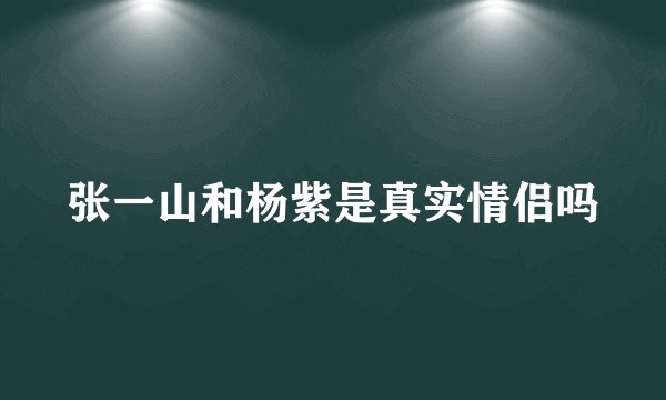 张一山和杨紫是真实情侣吗