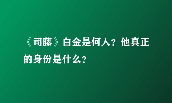 《司藤》白金是何人？他真正的身份是什么？