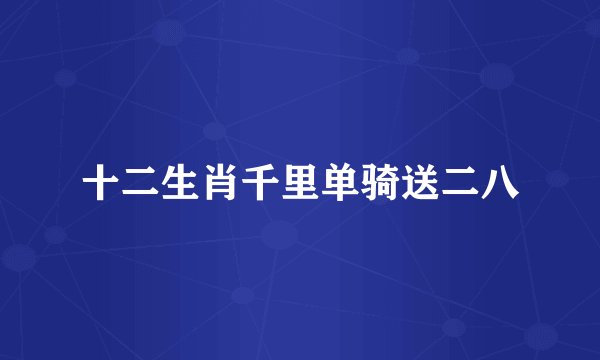 十二生肖千里单骑送二八