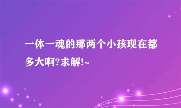 一体一魂的那两个小孩现在都多大啊?求解!~