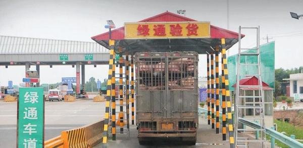 男子拉一车苹果蕉走绿通被拒!工作人员:这不是香蕉,收费1066元