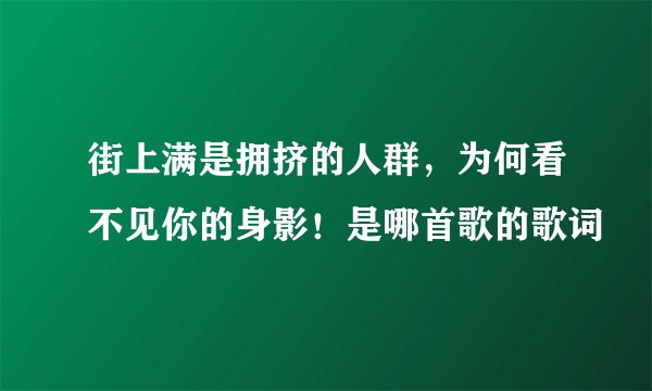 街上满是拥挤的人群，为何看不见你的身影！是哪首歌的歌词