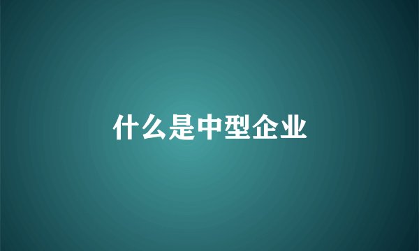 什么是中型企业