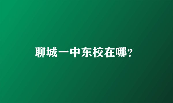 聊城一中东校在哪？
