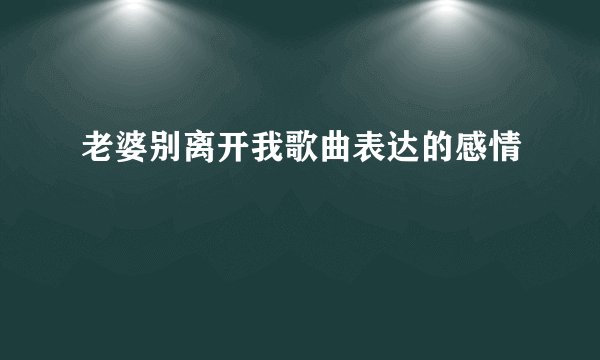 老婆别离开我歌曲表达的感情