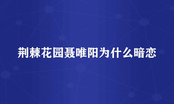 荆棘花园聂唯阳为什么暗恋