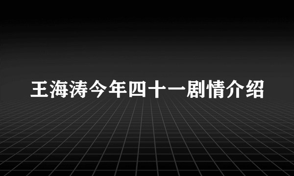 王海涛今年四十一剧情介绍