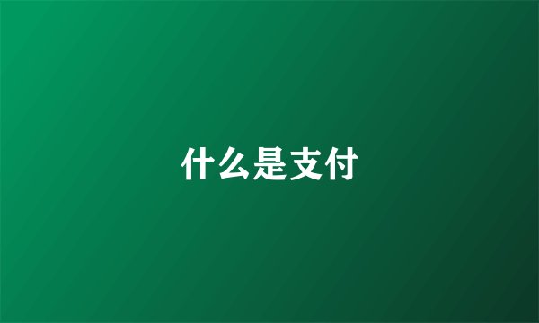 什么是支付