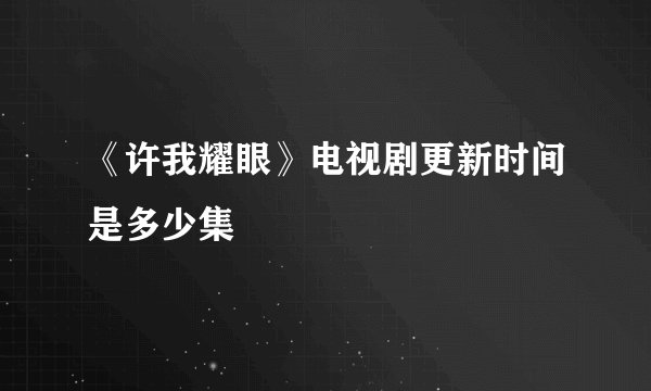 《许我耀眼》电视剧更新时间是多少集