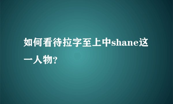 如何看待拉字至上中shane这一人物？