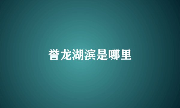 誉龙湖滨是哪里