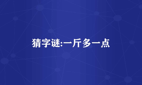 猜字谜:一斤多一点