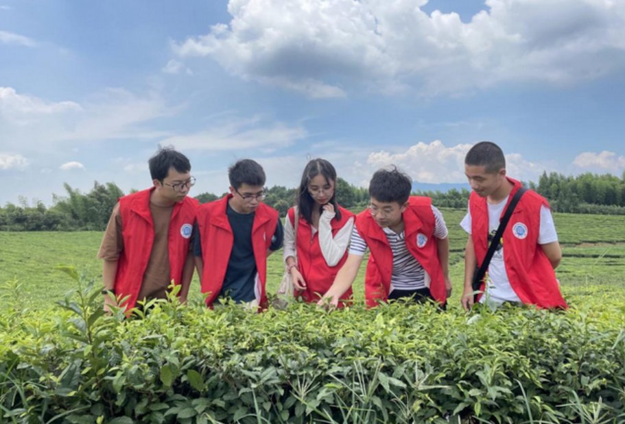 广州大学生下乡政策