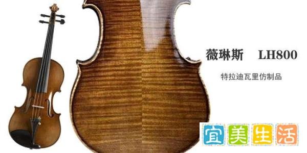 【避坑指南】2025年小提琴价格全解析：不同预算怎么选不踩坑？
